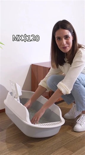 Areneros Caseros para Gatos y Reyes Magos