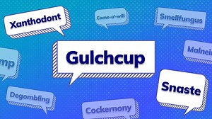 80 Weird Words and Phrases