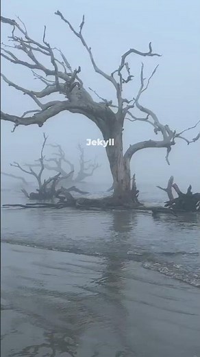 Jekyll Island Georgia Travel Guide: Best Things to Do In 2026