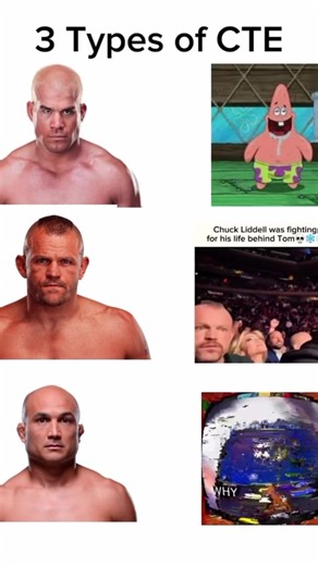 3 of the smartest ufc fighters off all time #viralvideo #ufc #fyp #cte #meme