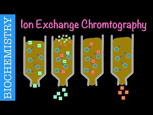 Ion Exchange Chromatography | Biochemistry