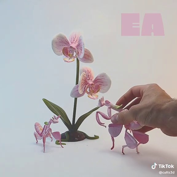 💐 Flexi Print-in-plate Orchid Mantis • STL and 3MF files ➡️ Download 3D print model: https://cults3d.com/:4964423 💡 Designed by Rapabollita