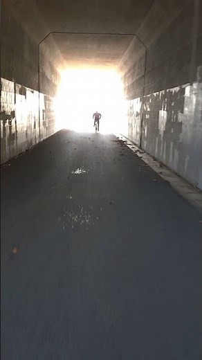 光の向こう側…