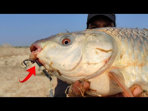Triple Hook Fishing Techniques | Traditional Fishing Techniques | Best Fishing Videos In India