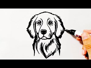 How to Draw a Brittany Dog