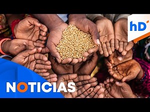Especialista de la ONU explica cómo combatir la hambruna | hoyDía | Telemundo