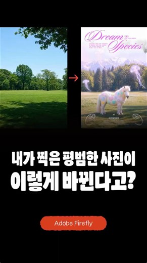 평범한 사진도 컨셉츄얼한 아트웍으로! (feat. @studio.nutty)