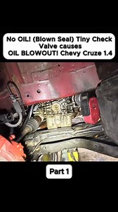 #No #OIL #Blown #Seal #Tiny #Check #Valve #causes #OIL #BLOWOUT #Chevy | edabeztruda | Facebook