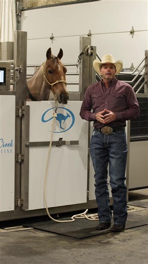 37K views · 1K reactions | Clinton’s performance horses, like Dolly his cutter, use the Cold Creek Equine Spa after every training session. Learn more about the benefits of cold water therapy on Cold Creek Equine’s website ➡️ https://www.coldcreekequine.com/ #ApplyTheMethod | Downunder Horsemanship | Facebook