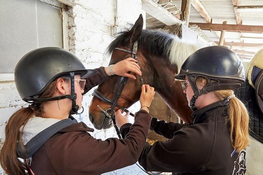 Métiers du cheval - MFR Hauts-de-France