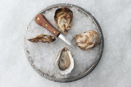 Onset Oyster — Oysterology Online | Pangea Shellfish Company