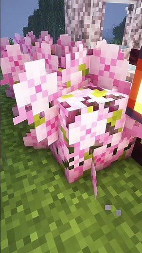 Minecraft House For My Dog ❤️🥺 #minecraft