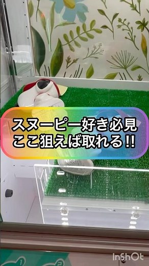 【クレーンゲーム攻略】スヌーピー好き必見！！ここ狙えば取れる！！