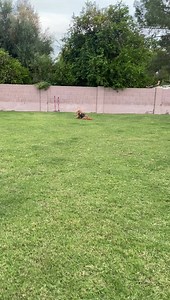 732K views · 10K reactions | Tonight, I spent some quality,...