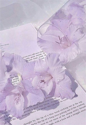 Everytime somebody has azure, wto time or even amarah call the spawn cult ‘cult’, an angel gets brutally murdered. Cults don’t even call themselves cults, they call themselves a community or commune or ANYTHING HUT A CULT 😭😭 Also with how they mischaracterize Two Time a lot, ik this is an azure acc but it pisses me off seeing ppl completely victim blame two time like they knew fully what they were doing and the harm they caused. Acting like they’re the root of all evil. IT DOESNT MAKE THEIR AC