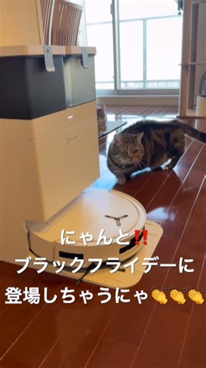 まりんわさび on Instagram: "今日ぼくがご紹介するのは・・・ ECOVACS T50 OMNI ロボット掃除機にゃ〜👏 この掃除機は掃き＆拭き掃除をやってくれる2025最新の超薄型ロボットで、 ソファの下にもスイスイ入っていけるやつにゃ👍 多次元センサー、内蔵dToF LiDAR、3D構造化ライト、RGBカメラで、あらゆる床面を完璧に掃除してくれるにゃ🤩 こんな多機能お掃除ロボットなら家事が楽になるけど・・・お高いと思ってるみんなぁ🤔 今回ブラックフライデーでお安く購入できちゃうにゃ‼️ Amazonブラックフライデー エコバックス製品が最大57％OFF！ セール期間（先行セールを含む）：11/21（金）〜12/01（月) DEEBOT T50 OMNI 通常販売価格：99,800円 セール価格：54,800円(45%OFF) Amazon：https://amzn.to/480p2XE 楽天：https://bit.ly/482fCez いま買ってXmasプレゼントにしちゃうってのもいいと思うにゃ🫶 気になったらみんな見に行ってにゃ〜🙏 #お掃除ロボット #