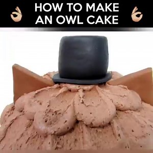 Cap: How to make an owl cake Credit: The Icing Artist & www.youtube.com/theicingartist | LOLKidz