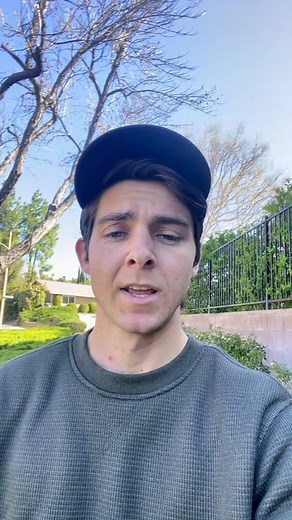 Peach Tree Flowers and Blooms: A Joyful Spring Spectacle