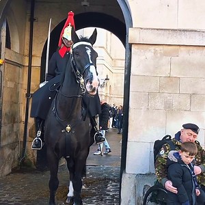Sword Salute 🫡 A moment of honor as the King’s Guard salutes a Veteran 🐎🛡️ #kingsguard #swords #Salute #Gesture #beautiful #Pride #fblifestyle #reelsviralシ #reelsvideo #veteran | The Kings Guards