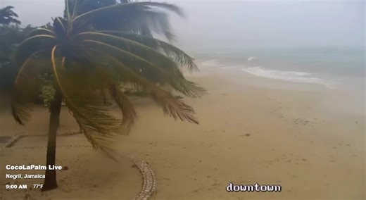 Video taken minutes ago from Earth Cam in front of the Coco La Palm Resort in Negril. Winds are snapping palm trees and tossing debris onto the beach. Wave heights are rising. Winds within Hurricane Melissa are reaching gusts over 225 mph. Sadly, this will all look so much different in a few hours. | Mo Rose WLKY