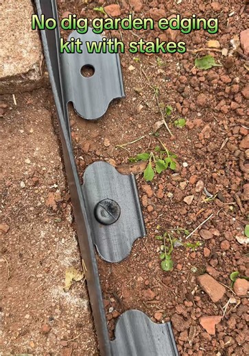 Shades inside Guy on TikTok