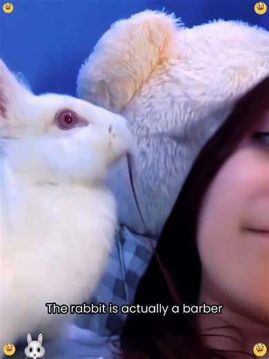 Hilarious Bunny Moments: A Collection of Funny Animal Clips