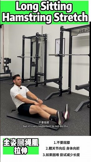 Long Sitting Hamstring Stretch｜Posterior Chain Mobility