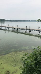 Parents’ neighbors point aqua thruster so weed/muck gathers right in front of their lakeshore.