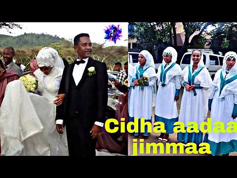 Sirba afaan oromoo haaraa 2023: Oromo music | Oromotiktok