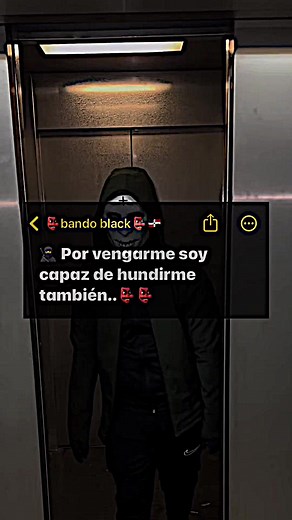 Frases del Bando: Mensajes y Cultura Urbana