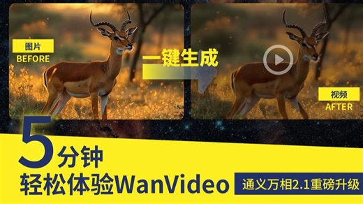 5分钟轻松体验WanVideo！