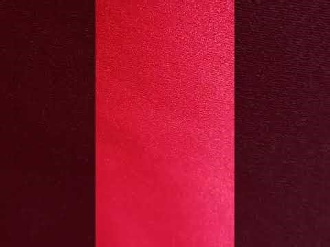 但以理书 第6章 朗读