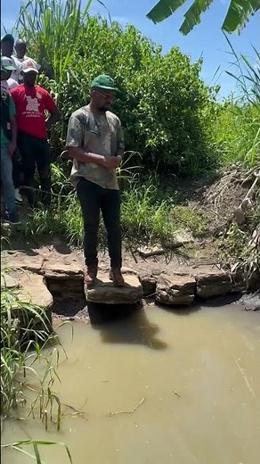 Nelito Ekuikui dispara: “A liderança de um país não pode ser tratada como um piquenique!”