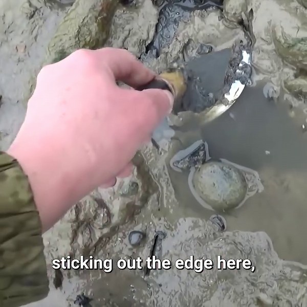 Mystery finds hidden in the Thames mud