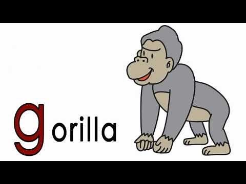 G - Ring Card Phonics