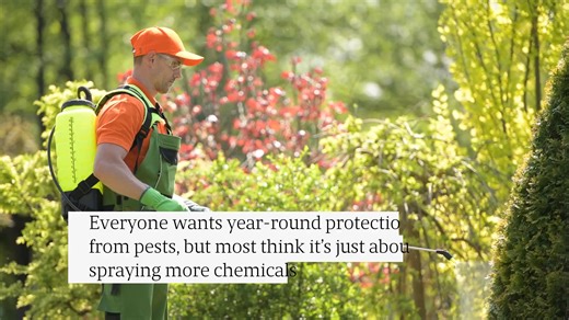 Integrated Pest Management: How This Professional Strategy Can Save You Hundreds