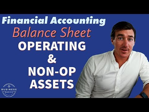 2.15) Operating and Non-Operating Assets