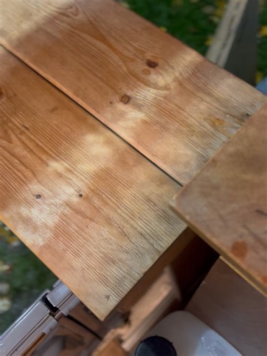 Ginger & Blue on Reels