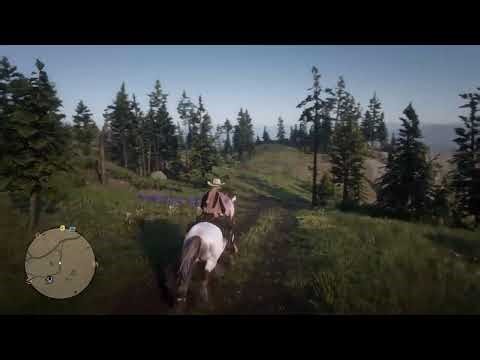 Bounty Hunting Blunders (Red Dead Online Stream)
