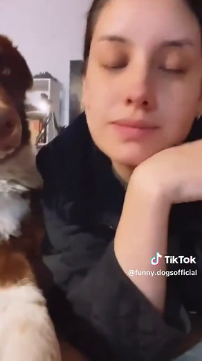 Funny Dogs' Reactions to Kisses: Hilarious Moments