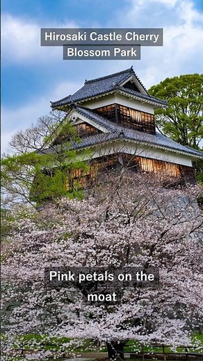 Hirosaki Castle Cherry Blossom Park – Japan's Most Stunning Spring View