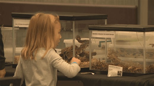 Reptile enthusiasts flock to Albany for Capital District Reptile Expo