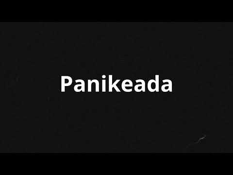 Panikeada - FlyFly Feat Neyer - DEMI4N20
