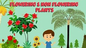 Flowering and non flowering plants | Plant life cycle | Video for Kids