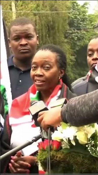 The gen z protests #kenyanewschannel #protests
