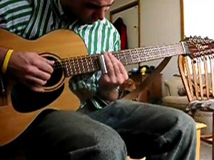 colours 12 string slide guitar
