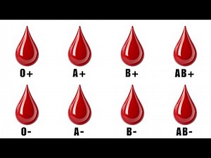 Every Hidden Defect in Your Blood Type Explained
