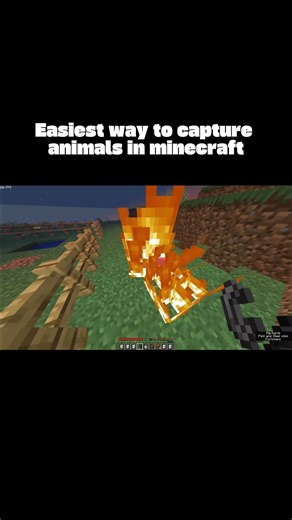 Easiest way to capture animals in minecraft !!😮 #minecraft #memes #funny#100iqgameplay