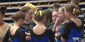 Top gymnasts shine at state championships