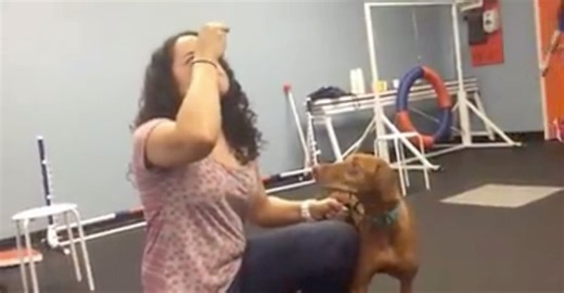 MINUTE TO WIN IT ⏰ SAT. NOV 18. 5p. Call or Go Online for more Info. . . . . . . . #dog #training #obedience #agility #tricks #akc #cgc #doggy #puppy #pic #video #picoftheday #videooftheday #viral #fun #happy #pets #all #positive | Zoom Room Dog Training | Facebook